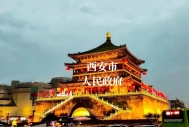 成功案例