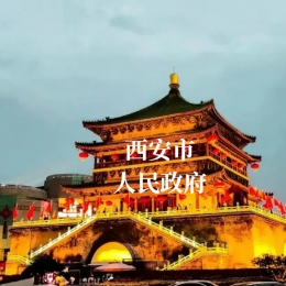 成功案例